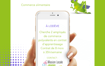 Offre d’emploi sur Lodève