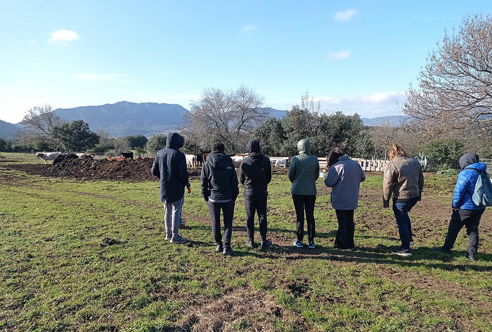 Retour en images sur l’atelier « Les pieds dans la terre » du 26 janvier